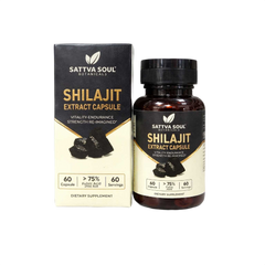 Shilajit Extract Capsules
