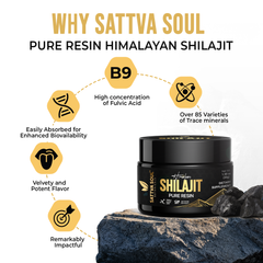 SATTVA SOUL RESIN SHILAJIT