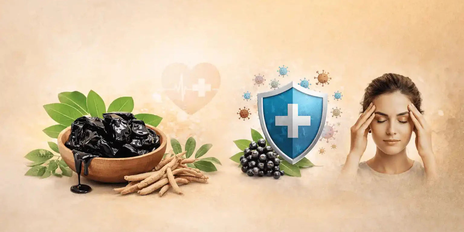 Holistic Women Wellness